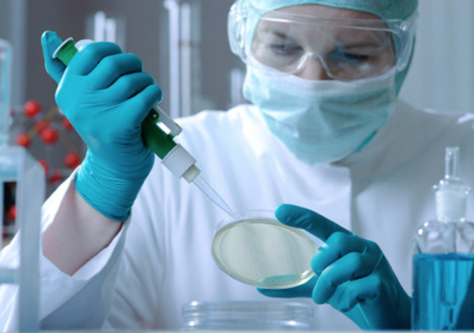 Tissue Procurement (The Collection Process)