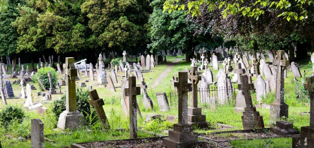 GREEN BURIAL SERVICES, GREEN BURIAL 